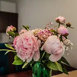 Widok Apartman Szczawnica