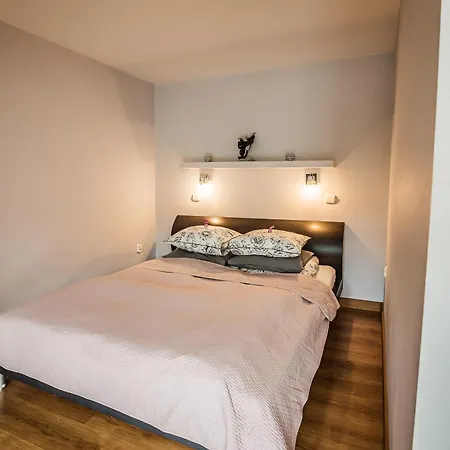 Widok Apartment Szczawnica