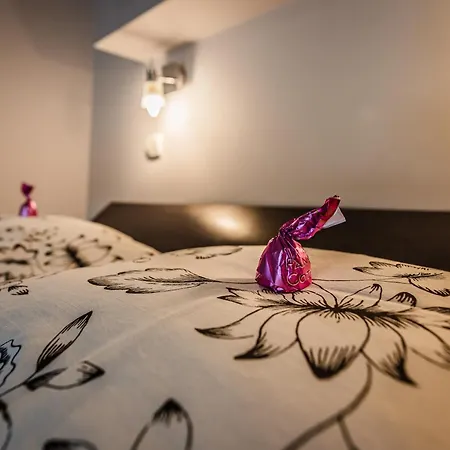 Widok * Шавница