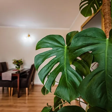 Widok Apartment *