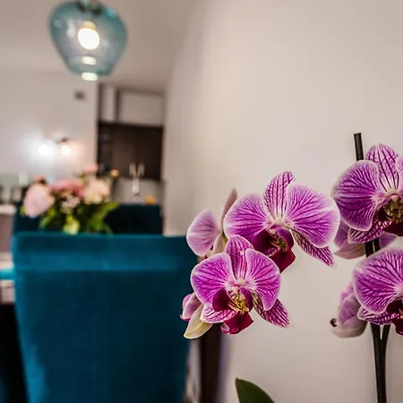 Apartment Widok Szczawnica