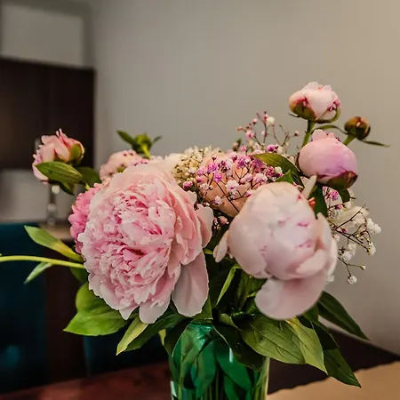 Widok Apartament Szczawnica