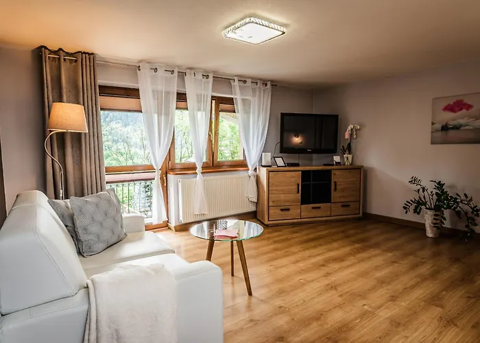 Widok * 슈차브니차