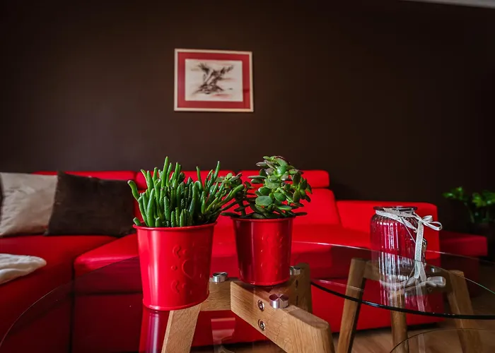 Widok * 슈차브니차