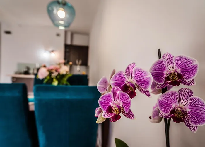 아파트 Widok 슈차브니차